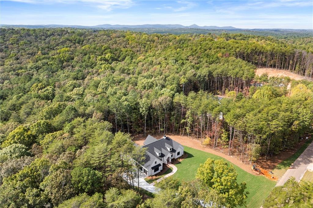 145 Highlands Chase Ball Ground, GA 30107 - Photo 67 of 79