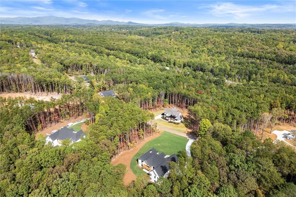 145 Highlands Chase Ball Ground, GA 30107 - Photo 69 of 79