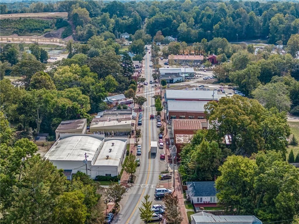 145 Highlands Chase Ball Ground, GA 30107 - Photo 74 of 79