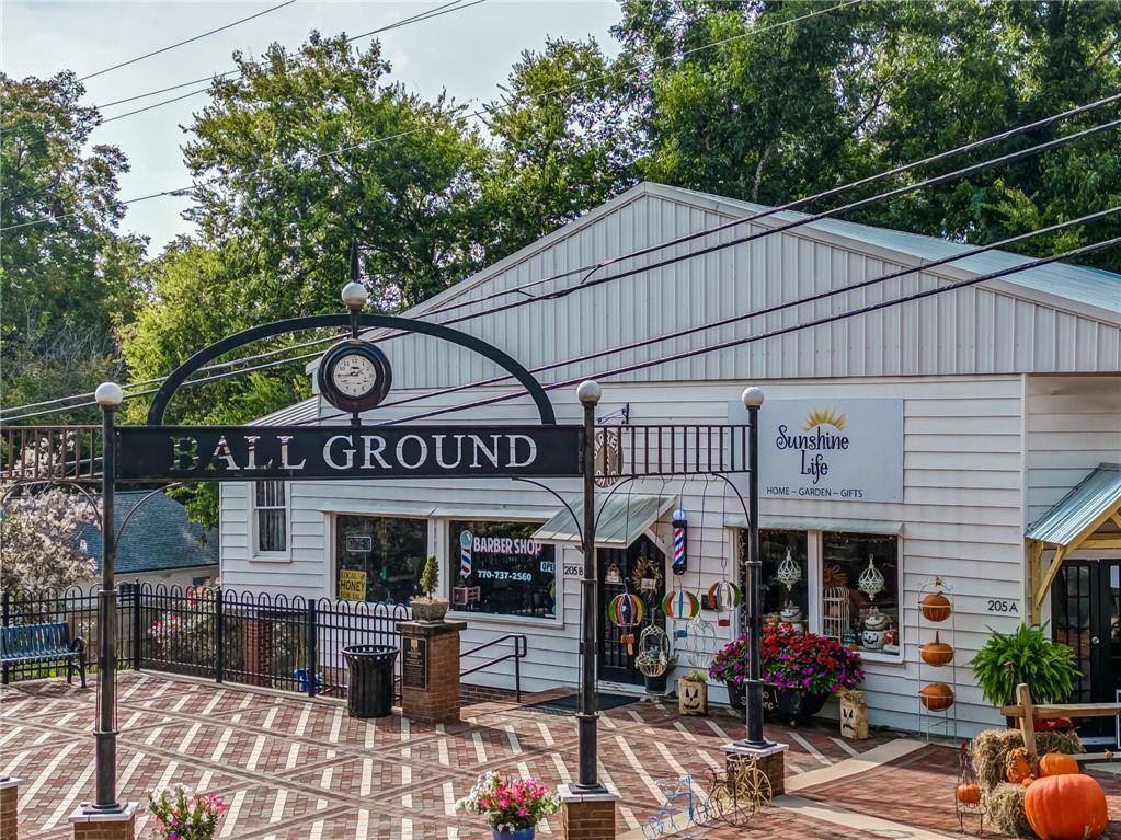 145 Highlands Chase Ball Ground, GA 30107 - Photo 75 of 79