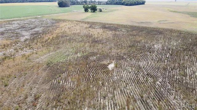 $879,000 | 0 County Road 512, East Prairie, MO 63845