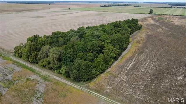 $879,000 | 0 County Road 512, East Prairie, MO 63845