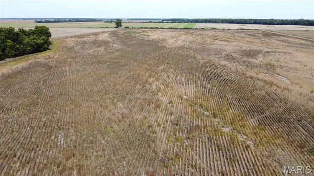 $879,000 | 0 County Road 512, East Prairie, MO 63845