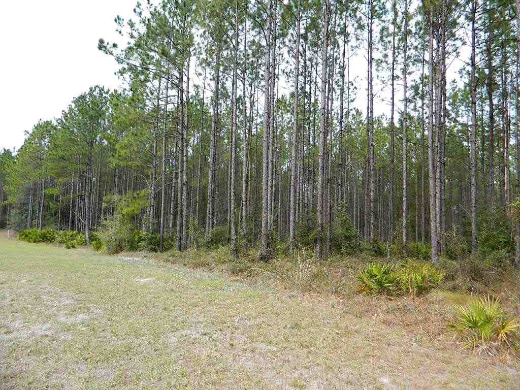 11 East Ranch Club Road Tallahassee, FL 32305 - Photo 13 of 20