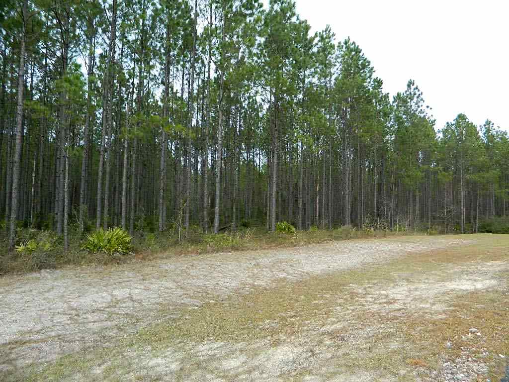 11 East Ranch Club Road Tallahassee, FL 32305 - Photo 15 of 20