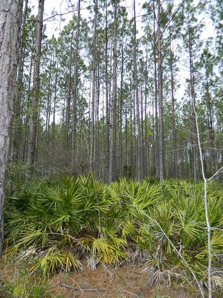 11 East Ranch Club Road Tallahassee, FL 32305 - Photo 18 of 20
