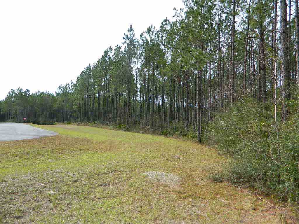 11 East Ranch Club Road Tallahassee, FL 32305 - Photo 19 of 20