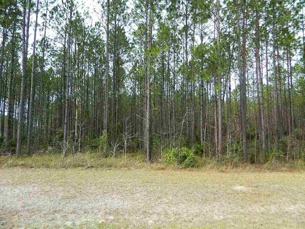 11 East Ranch Club Road Tallahassee, FL 32305 - Photo 20 of 20