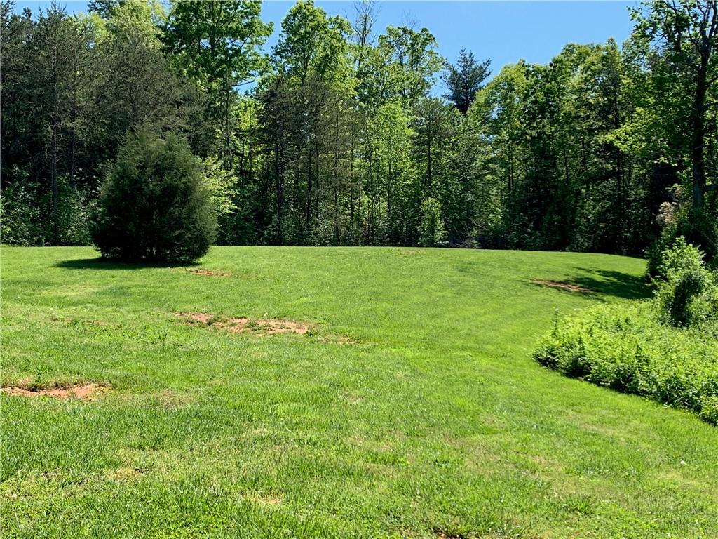1492 Hopewell Road Morganton, NC 28655 - Photo 3 of 46