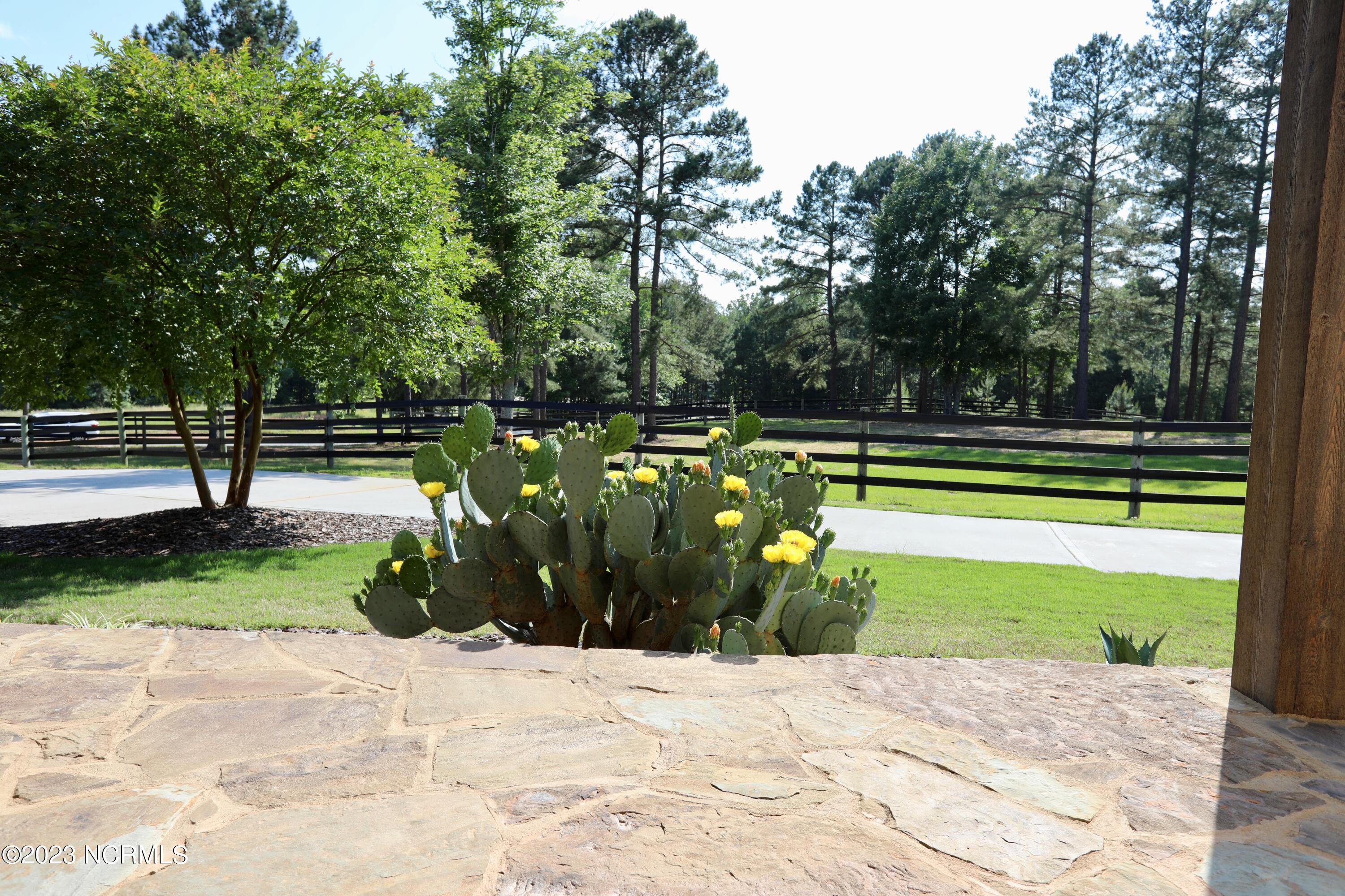 200 Saddle Ridge West End, NC 27376 - Photo 23 of 52 023A8500