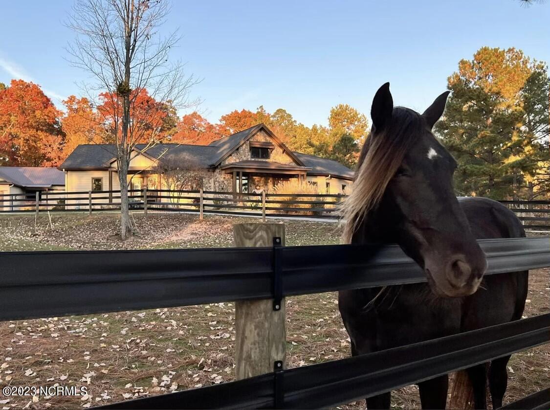 200 Saddle Ridge West End, NC 27376 - Photo 4 of 52 IMG_8273