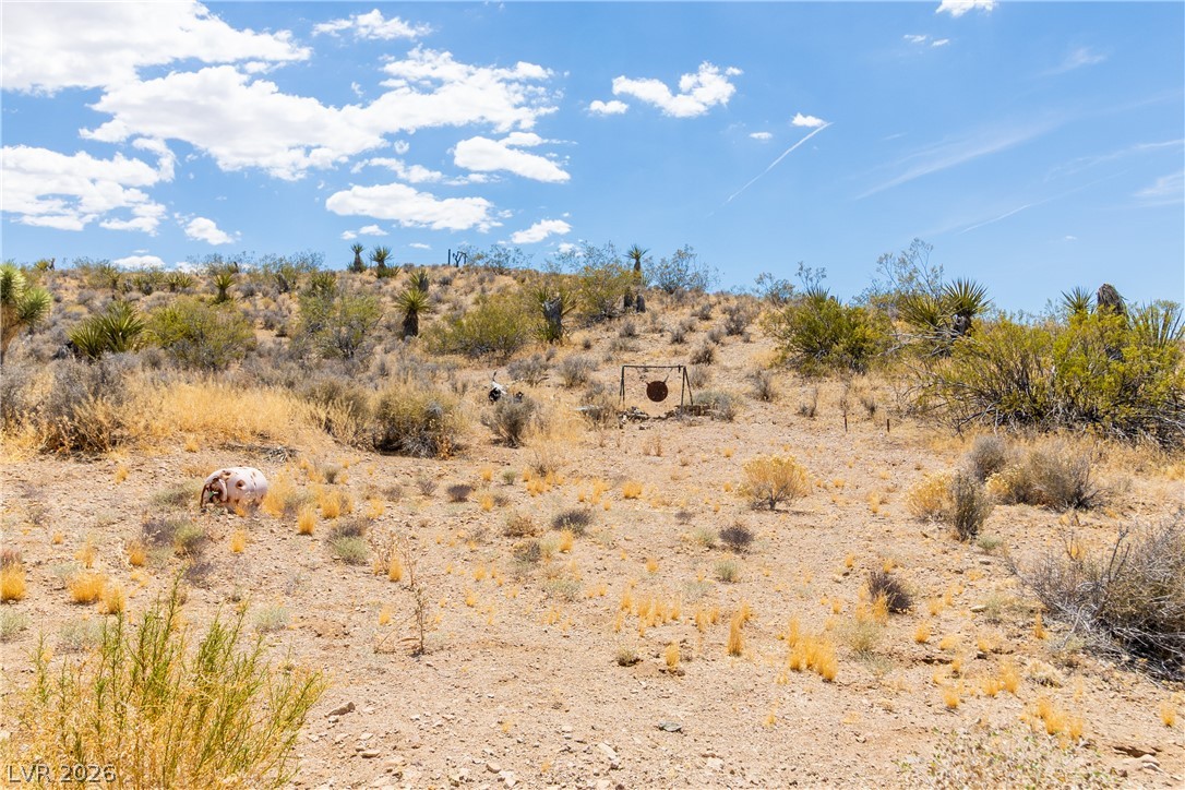 Rocking S Ranch Road Searchlight, NV 89046 - Photo 46 of 47