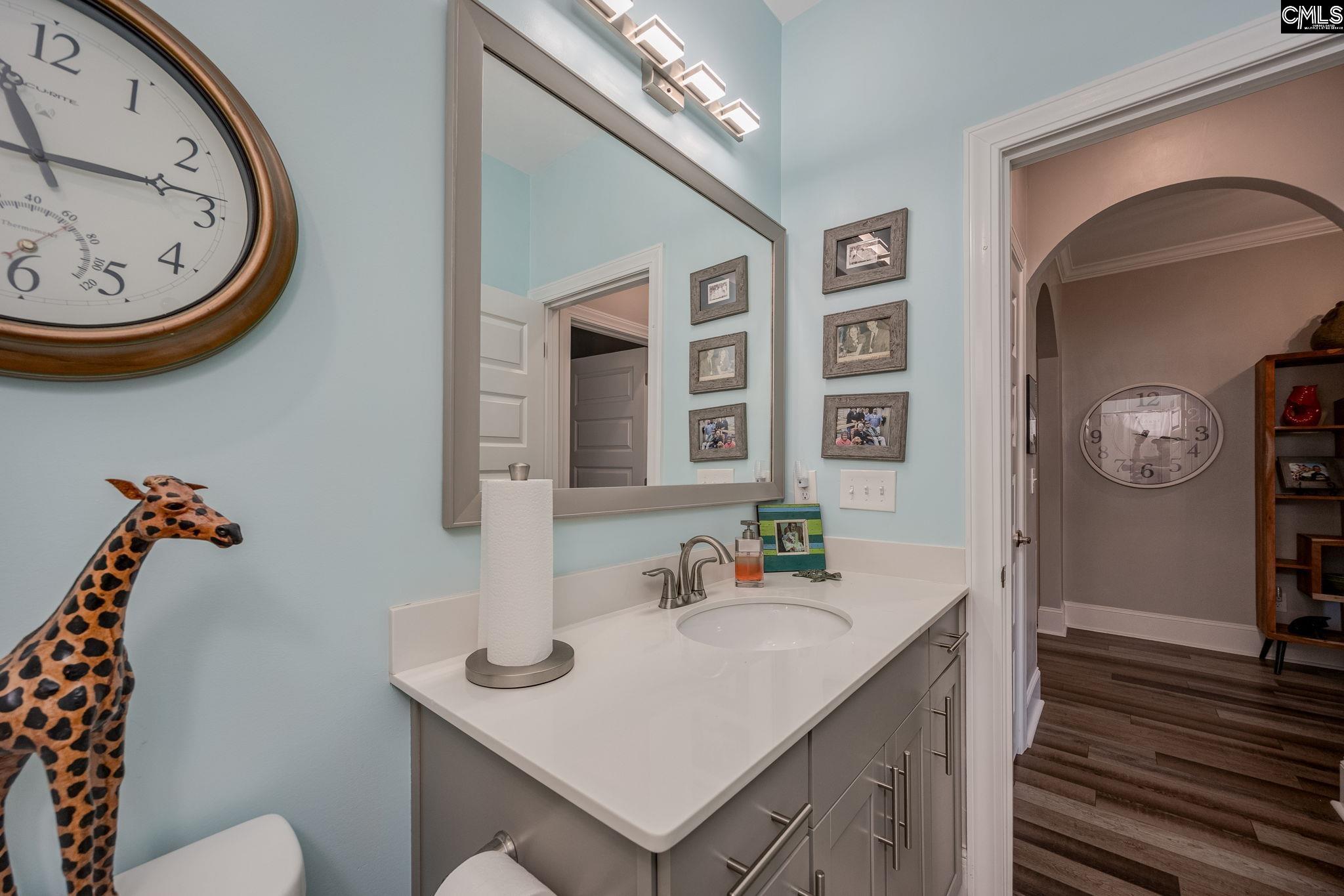 820 Dutchmaster Drive Chapin, SC 29036 - Photo 35 of 49