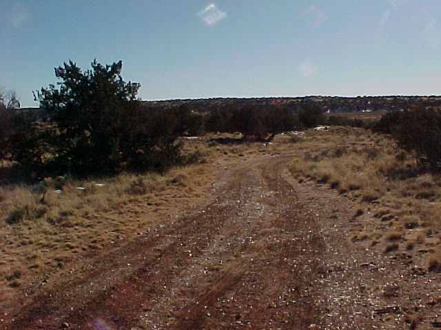 180 Woodridge Ranch Pinetop, AZ 85935 - Photo 3 of 4
