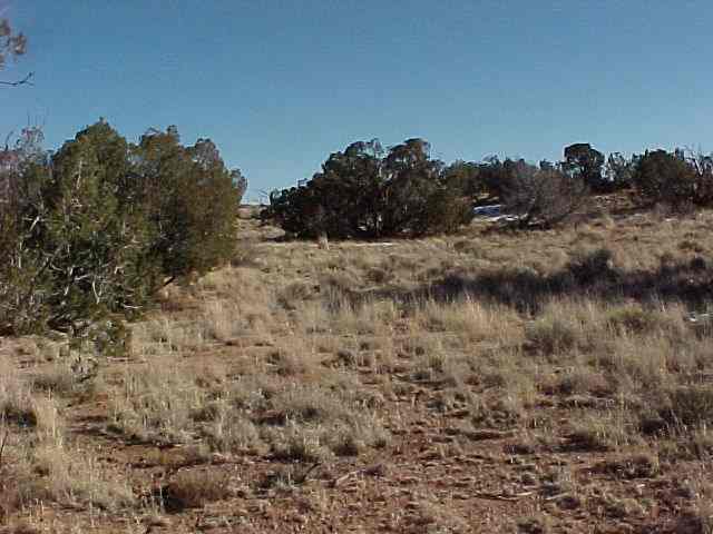 180 Woodridge Ranch Pinetop, AZ 85935 - Photo 4 of 4