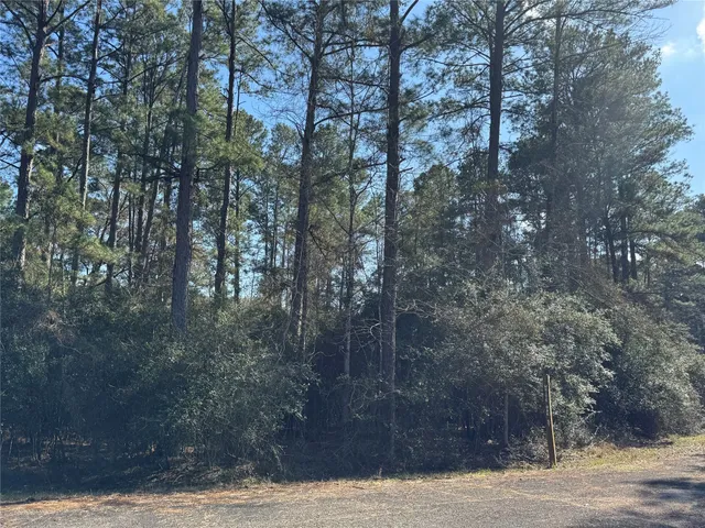 $5,500 | Tbd White Oak Street, Trinity, TX 75862