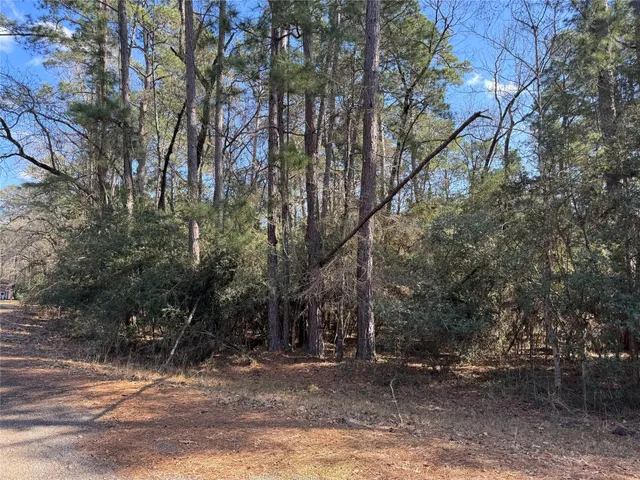 $5,500 | Tbd White Oak Street, Trinity, TX 75862