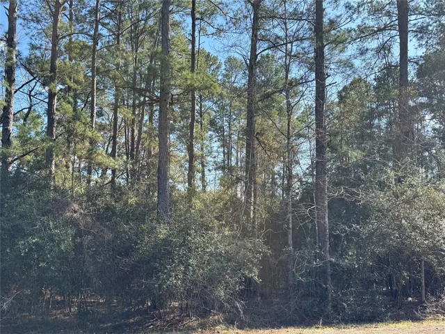 $5,500 | Tbd White Oak Street, Trinity, TX 75862