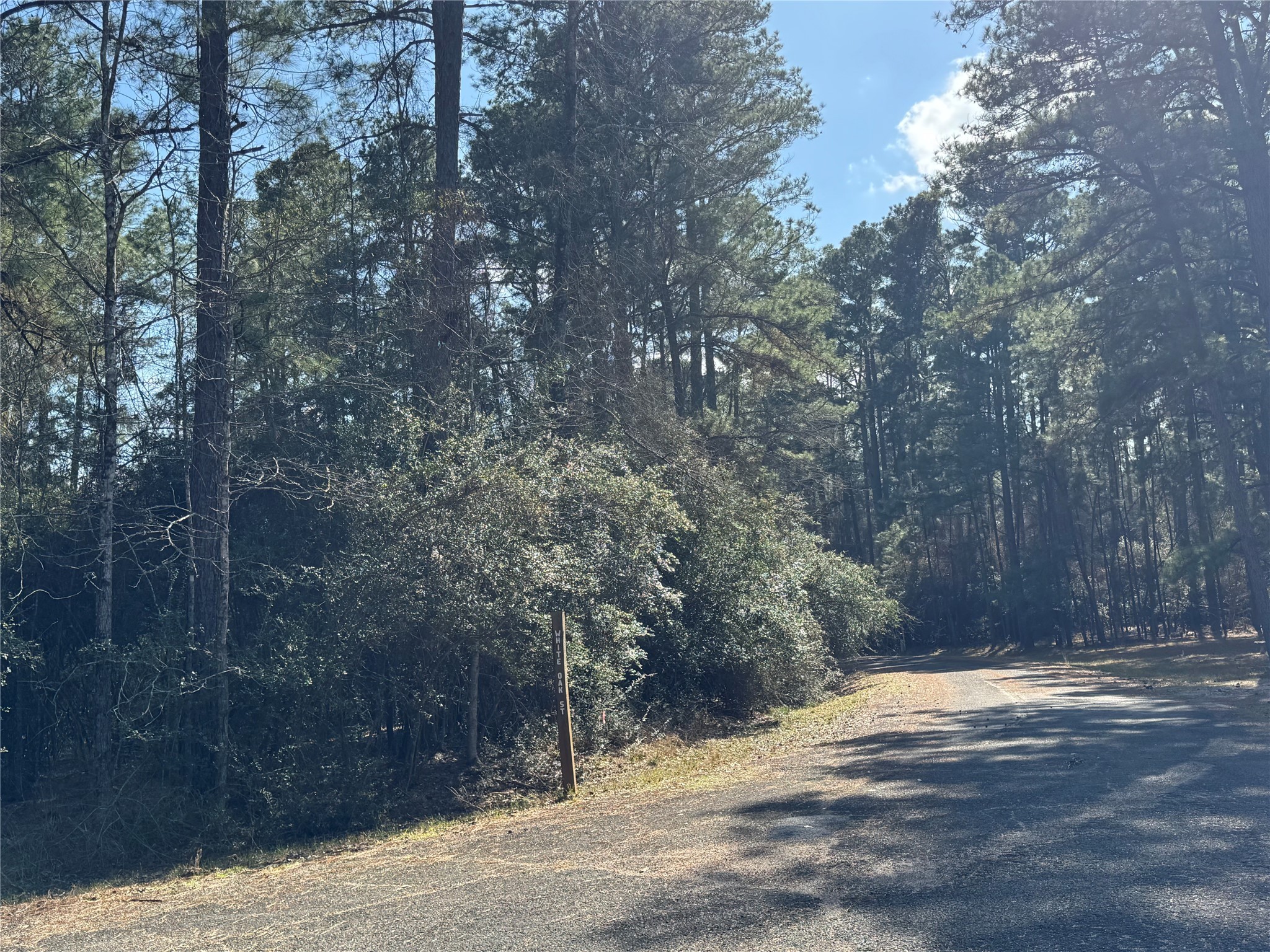 Tbd White Oak Street Trinity, TX 75862 - Photo 6 of 8