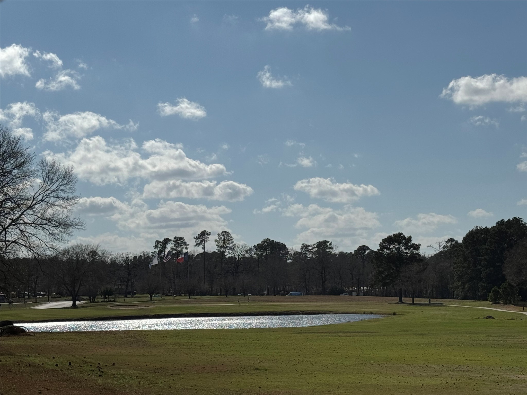 Tbd White Oak Street Trinity, TX 75862 - Photo 8 of 8 View of interior Lake /Golf Course @ front entrance