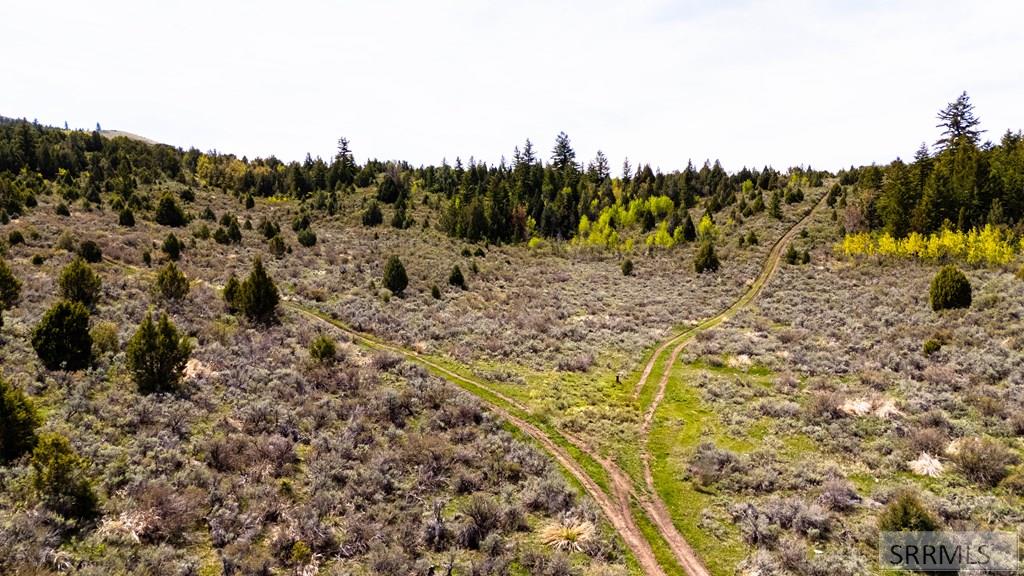 Tbd Fish Creek Road Lava Hot Springs, ID 83246 - Photo 12 of 22