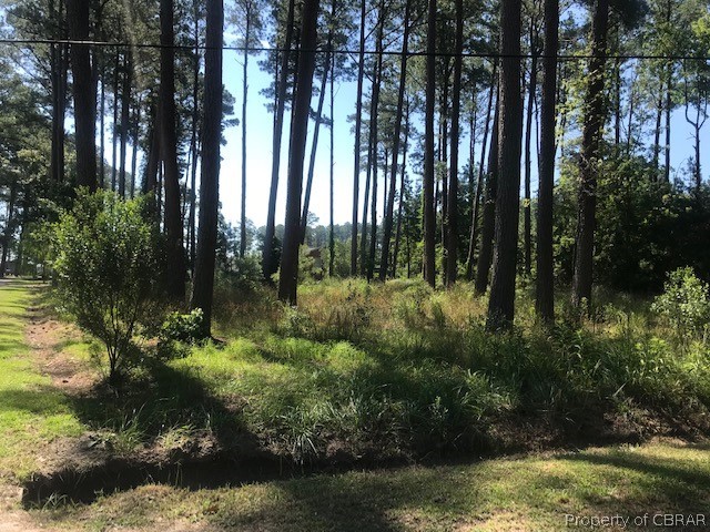 Lot 33 Beaumar Road Moon, VA 23119 - Photo 12 of 13 View of nature