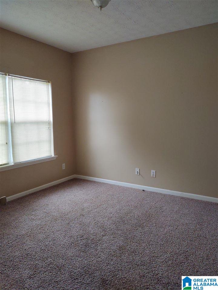 9101 Manley Vines Camp Road Bessemer, AL 35023 - Photo 12 of 15