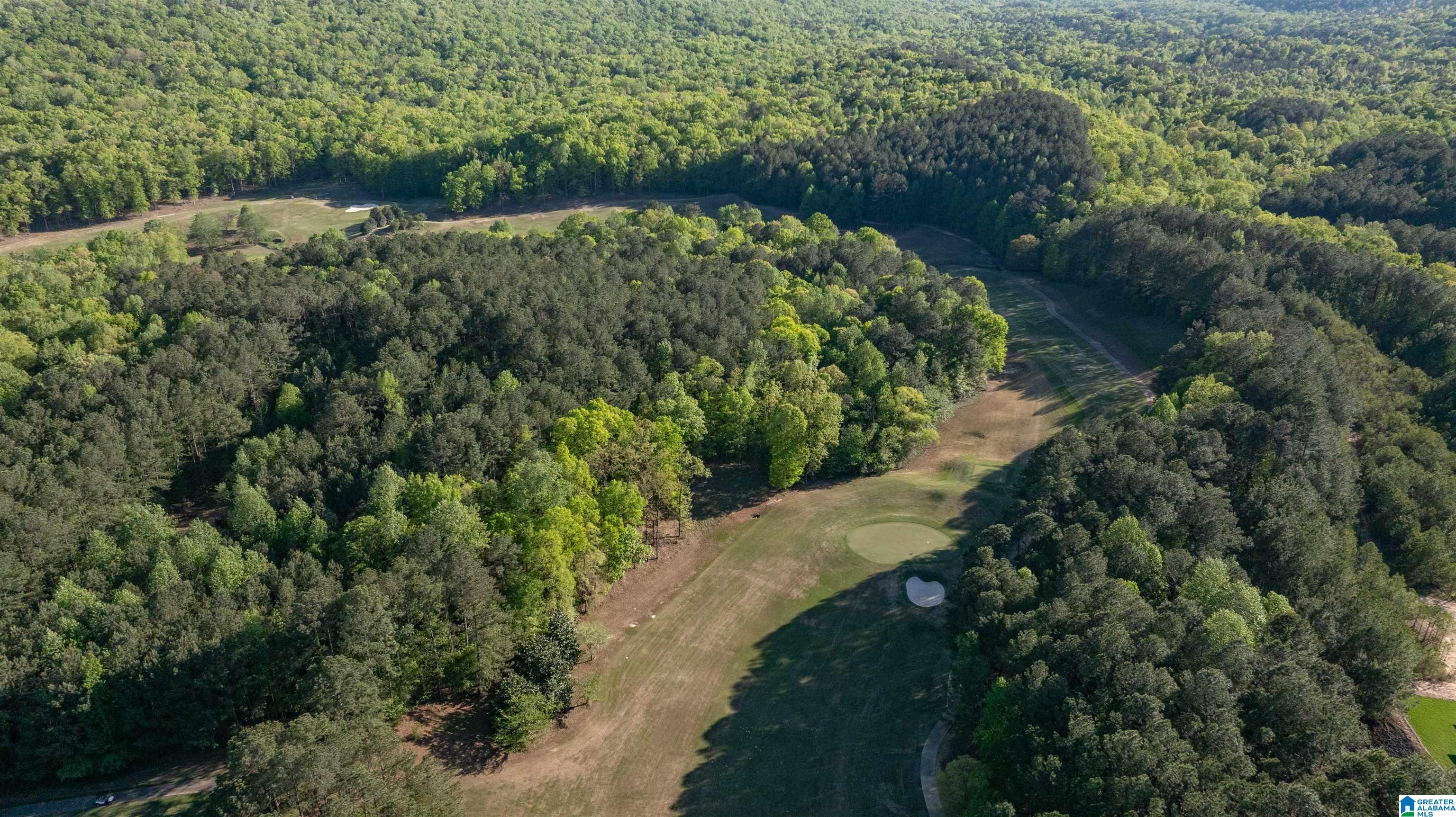 701 Kirkwall Cove Pelham, AL 35124 - Photo 54 of 63