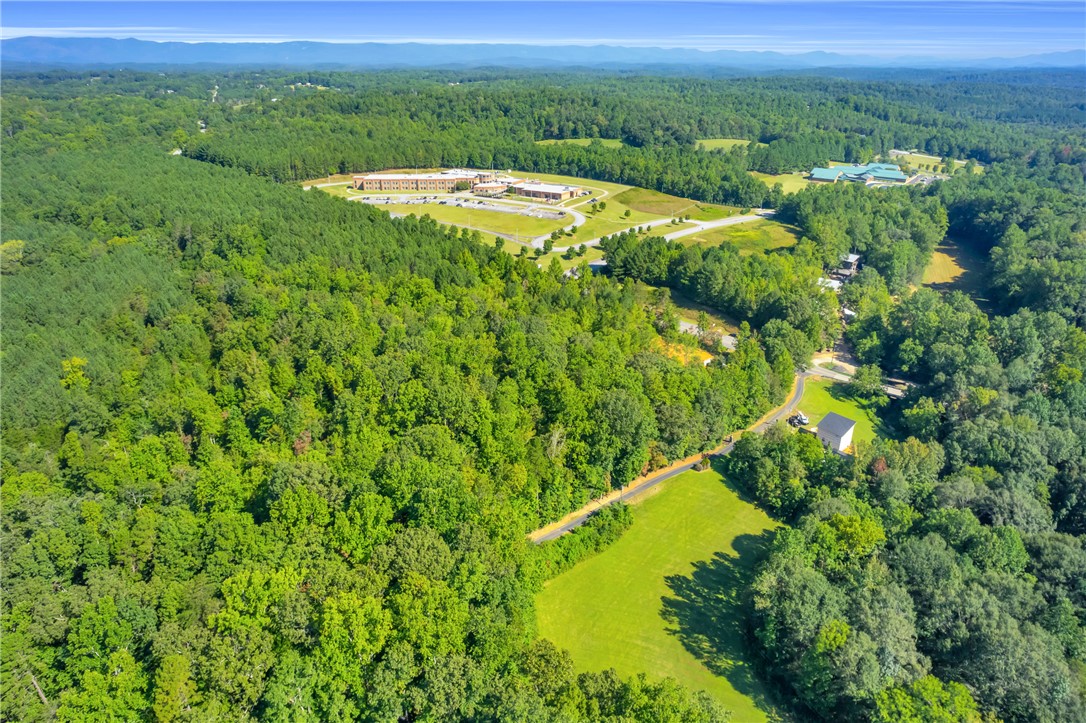 167 Cherokee Trail Easley, SC 29640 - Photo 14 of 18 Expansive acreage provides a verdant canvas for development or a private, natural retreat.