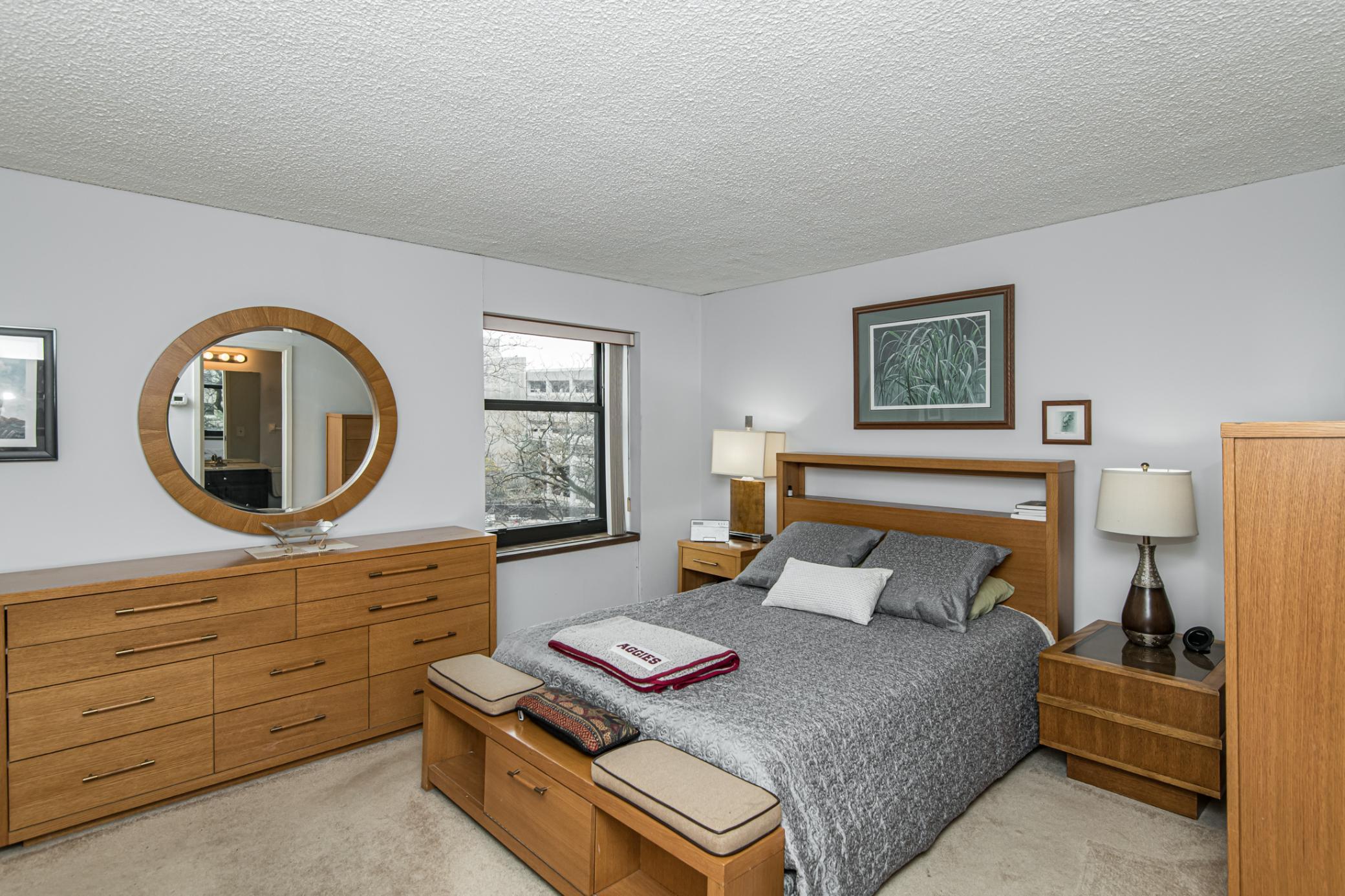 207 5th Avenue Southwest, Unit 208 Rochester, MN 55902 - Photo 10 of 25