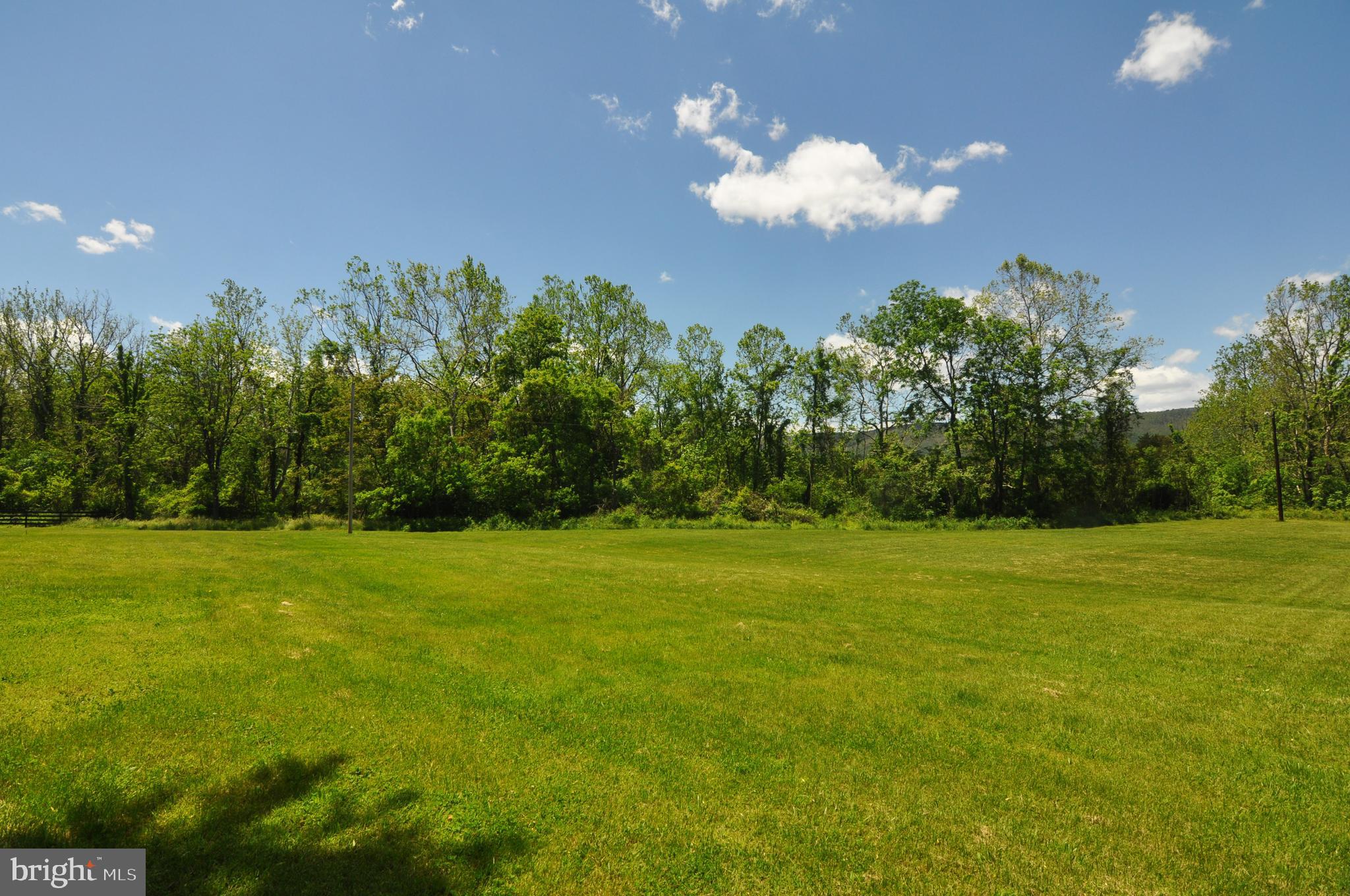 497 Back Mountain Road Winchester, VA 22602 - Photo 14 of 42 Some of the land