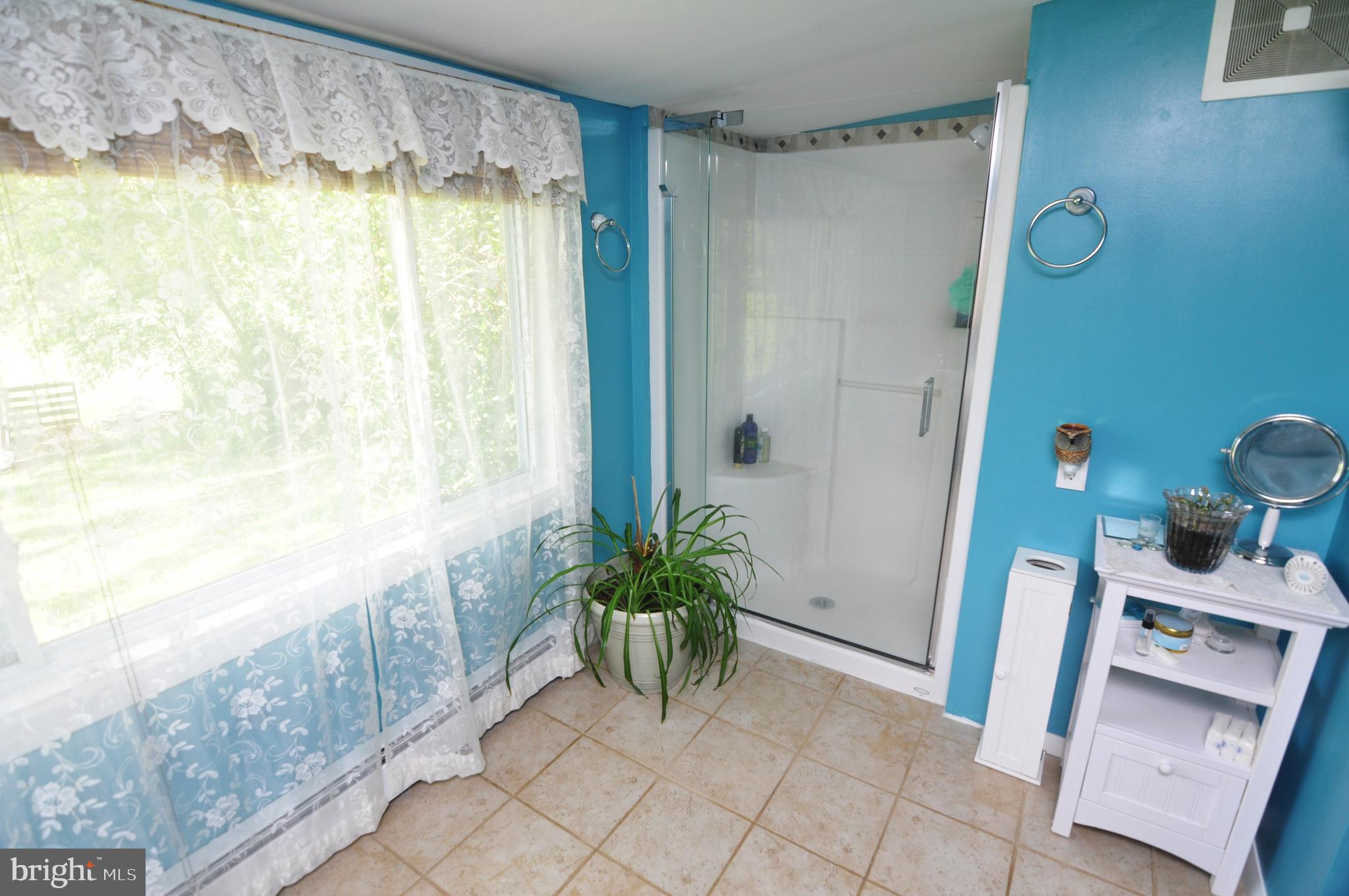 497 Back Mountain Road Winchester, VA 22602 - Photo 33 of 42 Full bath