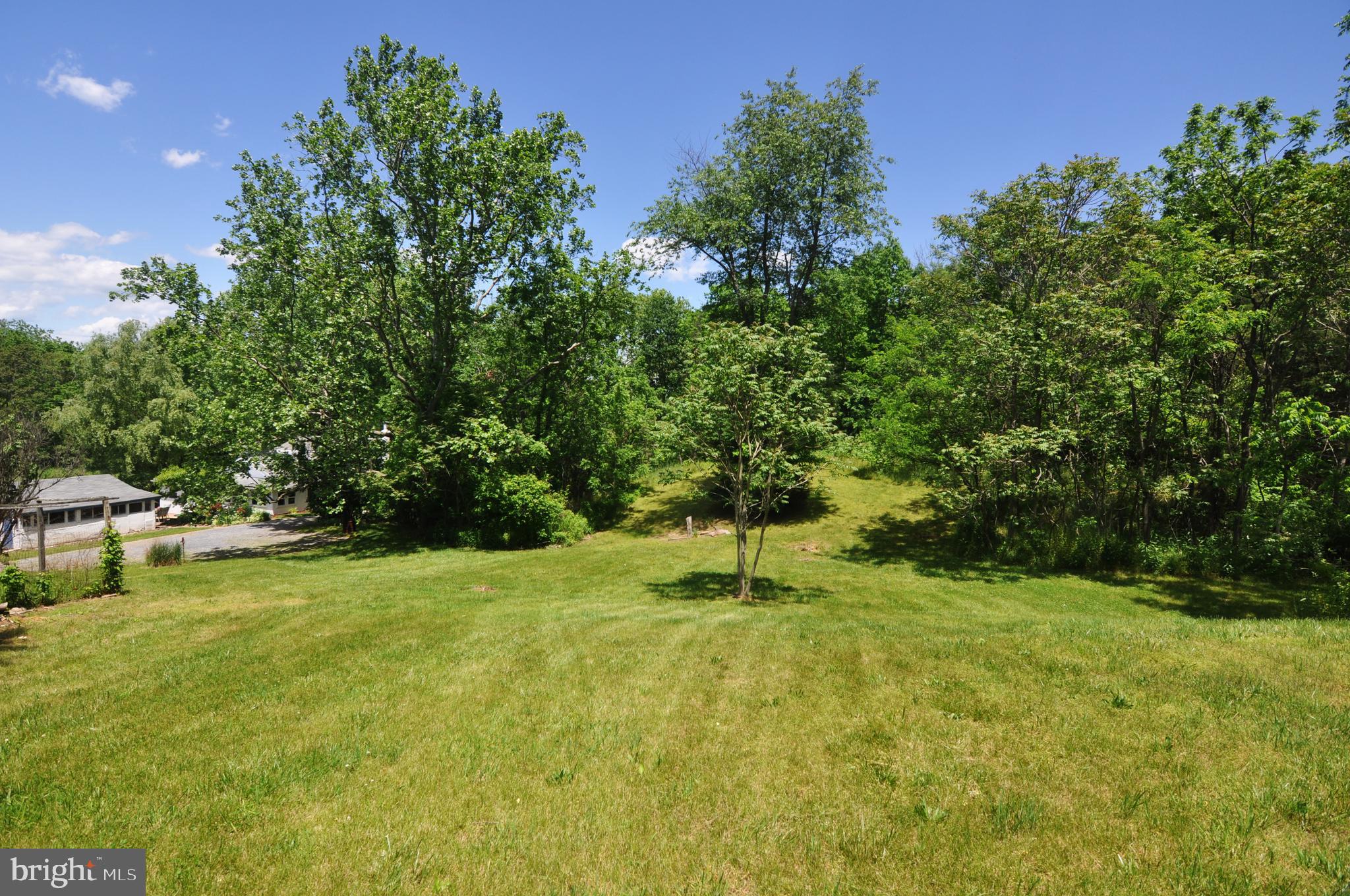 497 Back Mountain Road Winchester, VA 22602 - Photo 42 of 42 Side yard