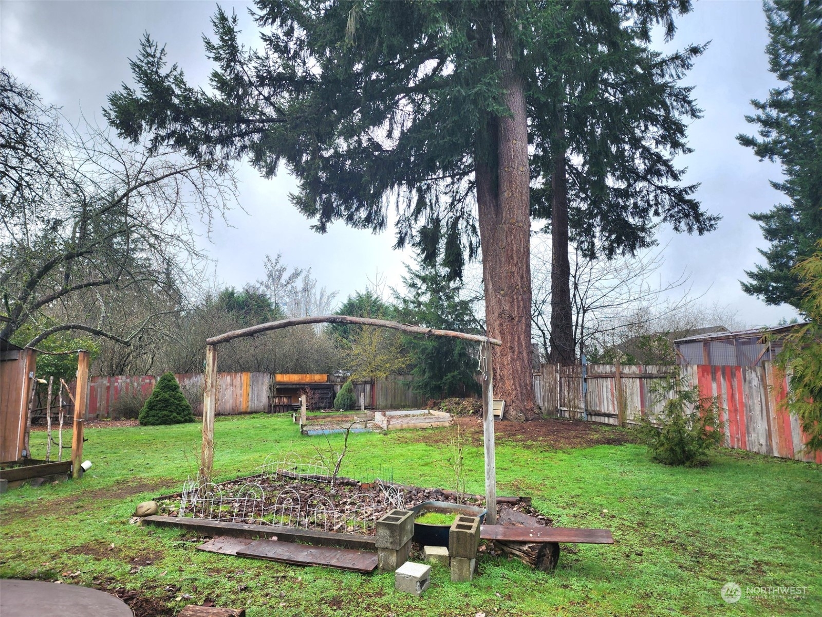 10507 Clark Road Southeast Yelm, WA 98597 - Photo 13 of 23 Gallery Image 13