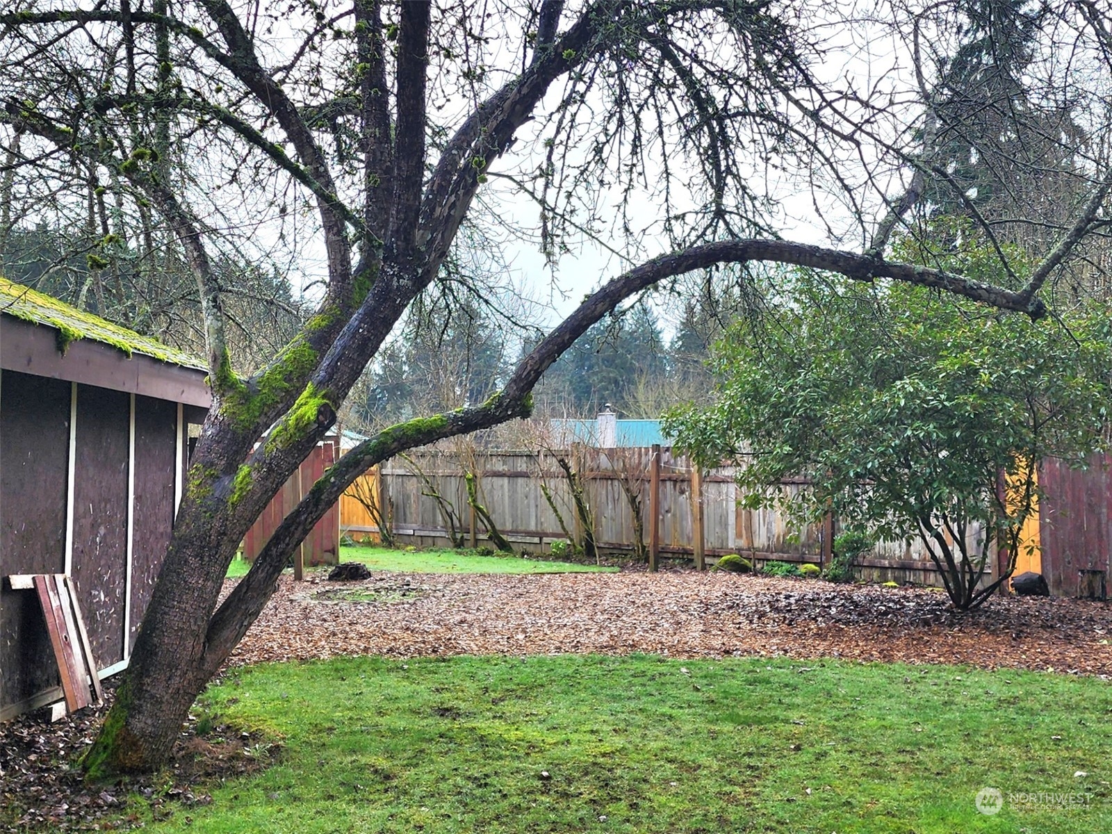 10507 Clark Road Southeast Yelm, WA 98597 - Photo 15 of 23 Gallery Image 15