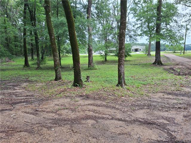 80 Sullivan Acres Road Columbia, LA 71418 - Photo 8 of 38