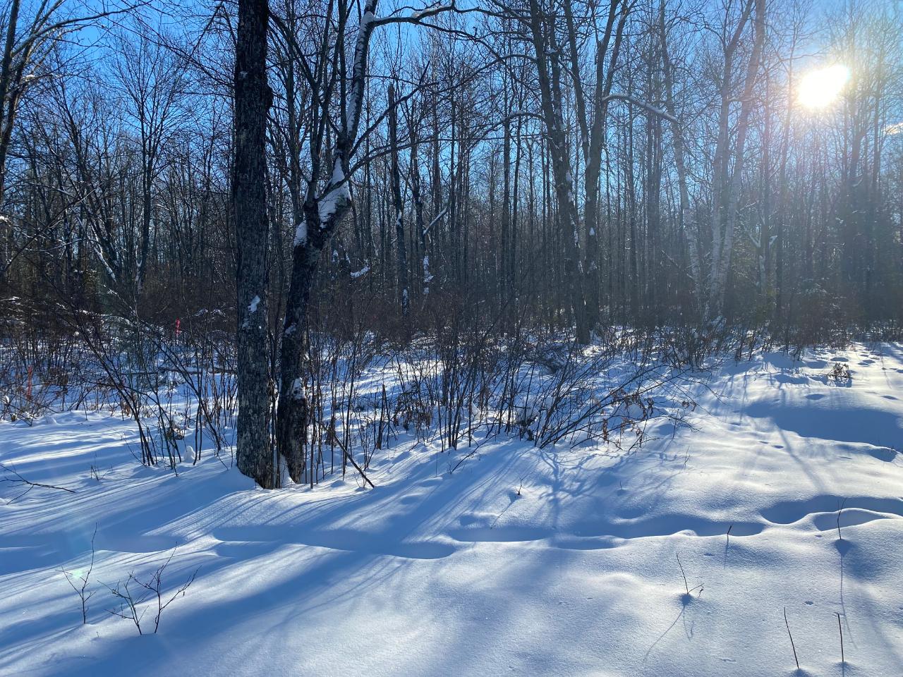 On River Road, Unit LOT 1 Eagle River, WI 54521 - Photo 1 of 8 Gallery Image 1