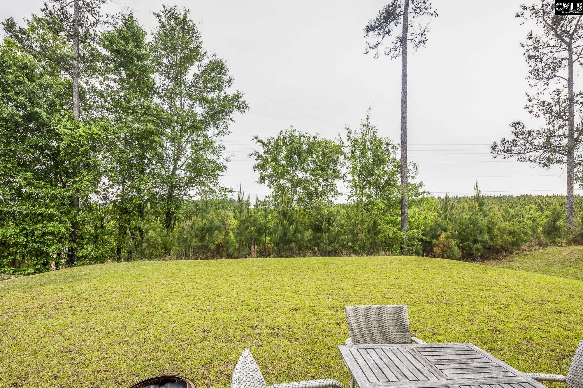 129 Tall Pines Road Gaston, SC 29053 - Photo 36 of 36