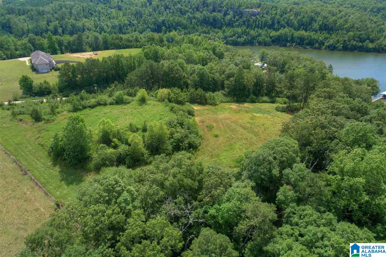0 Ridge Drive, Unit 58 PART 54 & BOAT RAMP Arley, AL 35541 - Photo 7 of 27