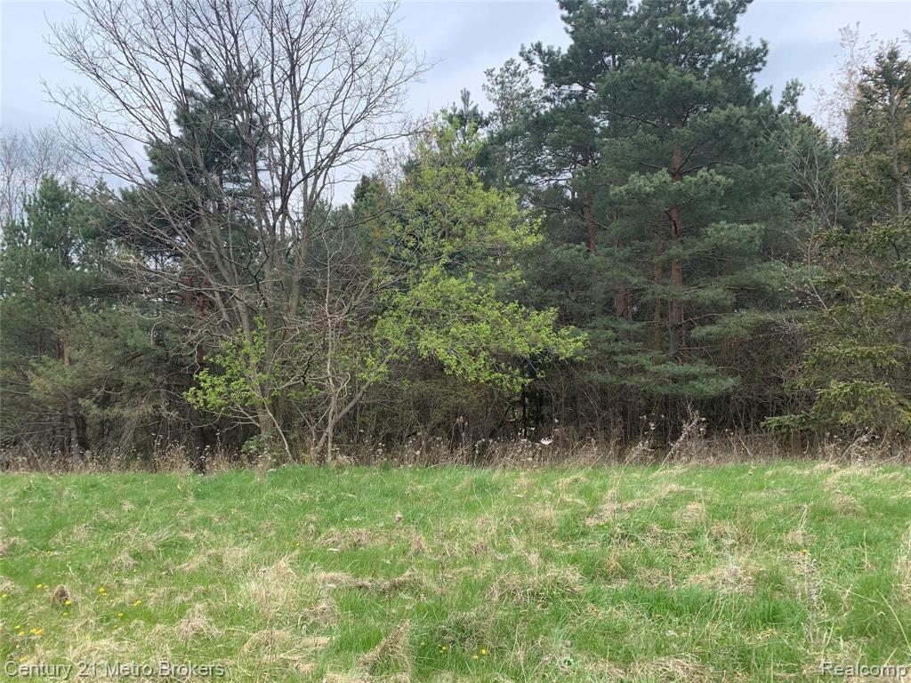 0 Hegel Road Goodrich, MI 48438 - Photo 6 of 6