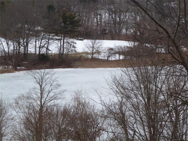 6 Rice Road Hingham, MA 02043 - Photo 19 of 29 Gallery Image 19