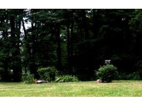 6888 Little Flock Road Spencer, IN 47460 - Photo 9 of 9