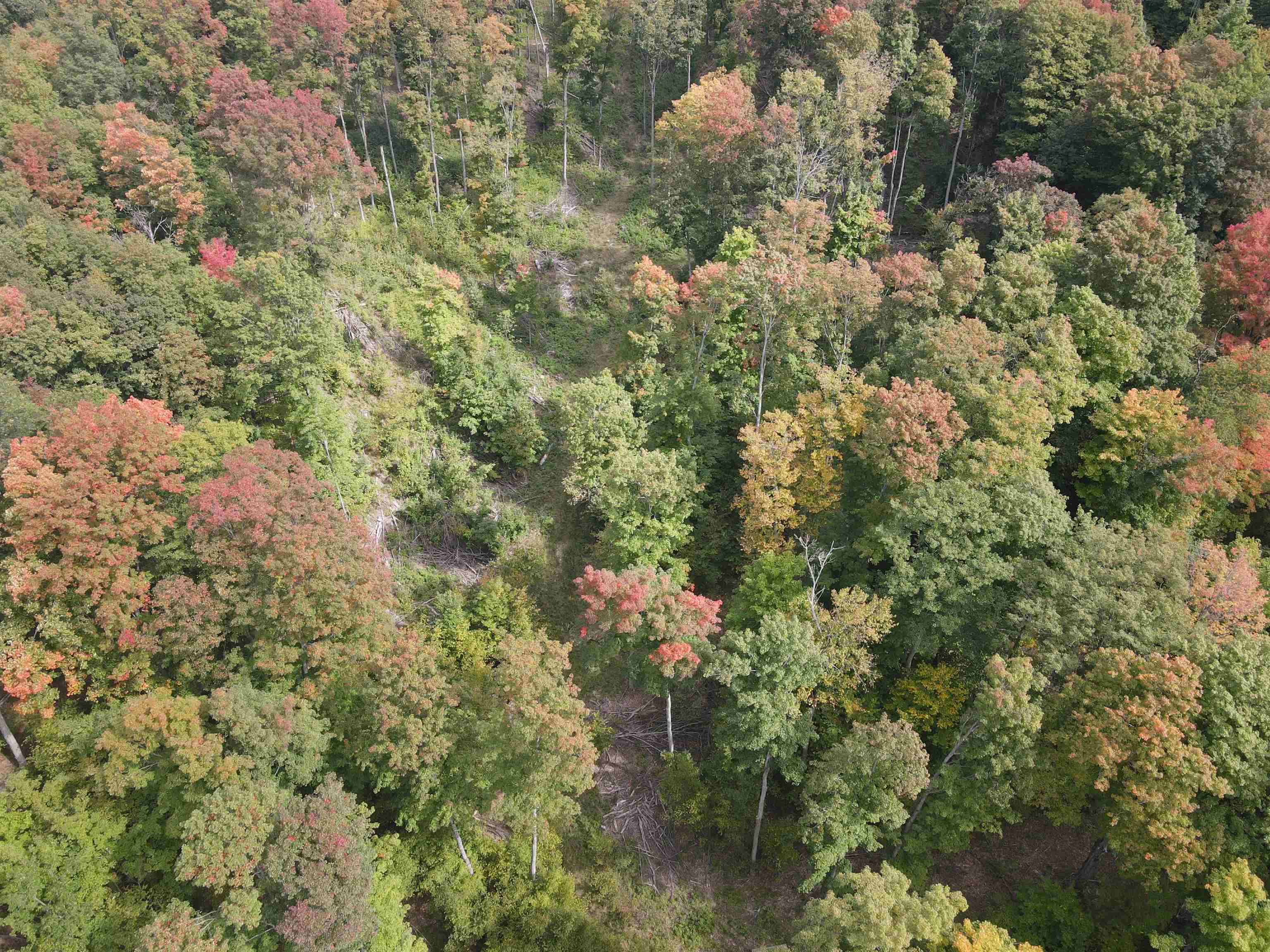 90 A Ridgeview Drive Kalkaska, MI 49646 - Photo 3 of 75