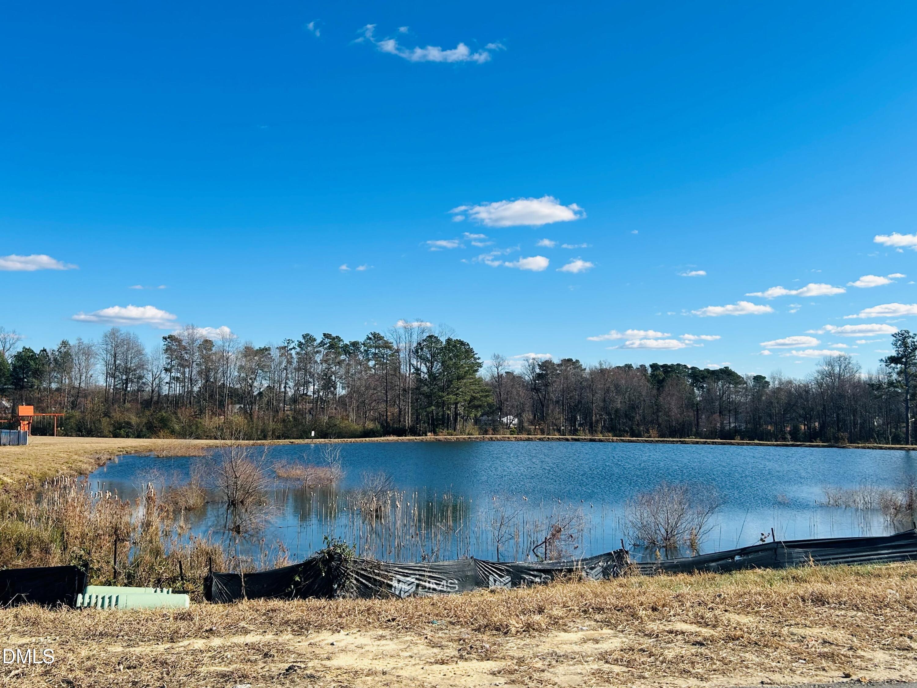 385 Denali Drive Angier, NC 27501 - Photo 3 of 19 a view of a lake view