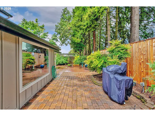 a view of a backyard with plants