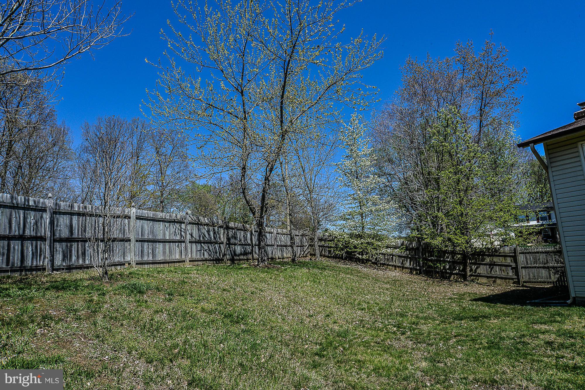 7120 Hamor Lane Springfield, VA 22153 - Photo 23 of 23 Exterior (Rear)