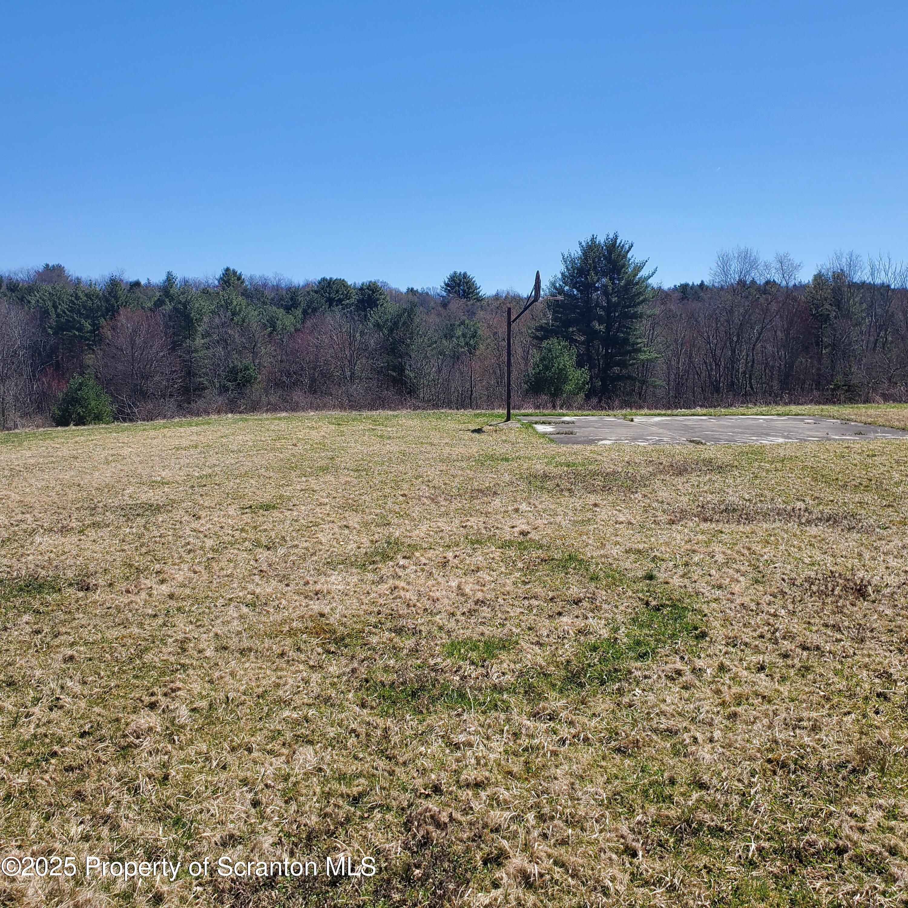 100 Wescott Road New Milford, PA 18834 - Photo 36 of 39 Rear yard