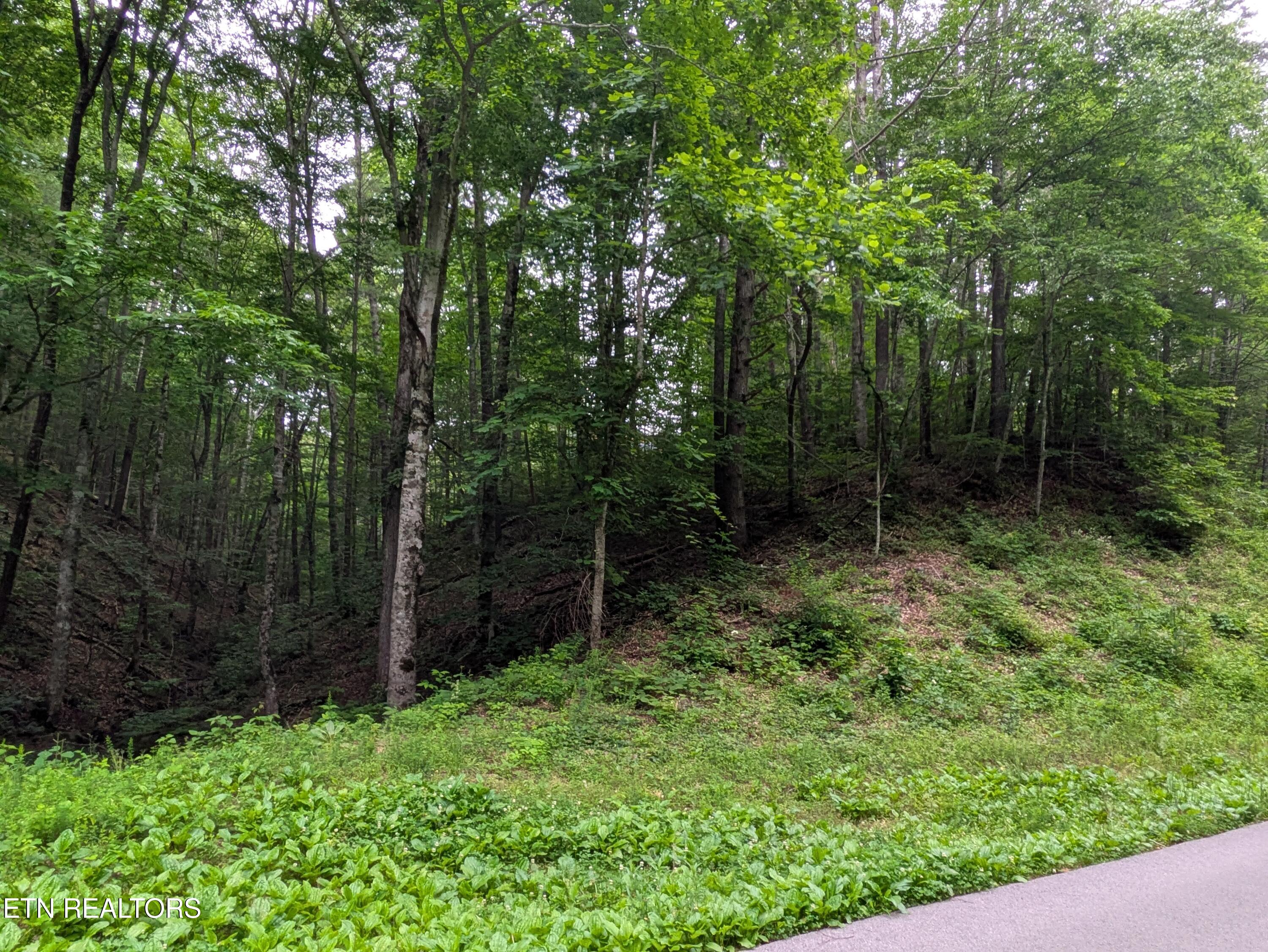 438 Kurts Corner Road Townsend, TN 37882 - Photo 2 of 4 PXL_20250529_123811819