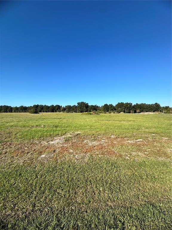 38793 Ranch Gate Boulevard Umatilla, FL 32784 - Photo 3 of 4 a view of an ocean and beach