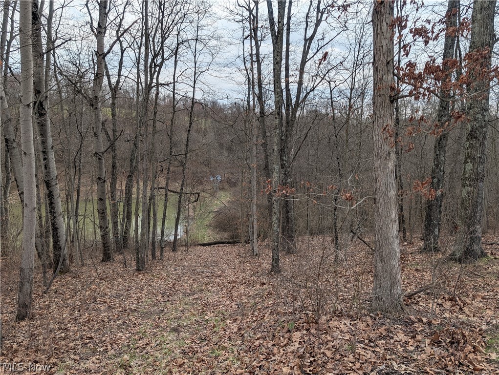 39000 Lees Run Road Cadiz, OH 43907 - Photo 32 of 49